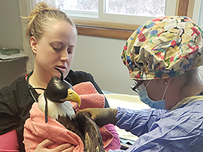 Exotic animal patient at Town & Country Animal Hospital